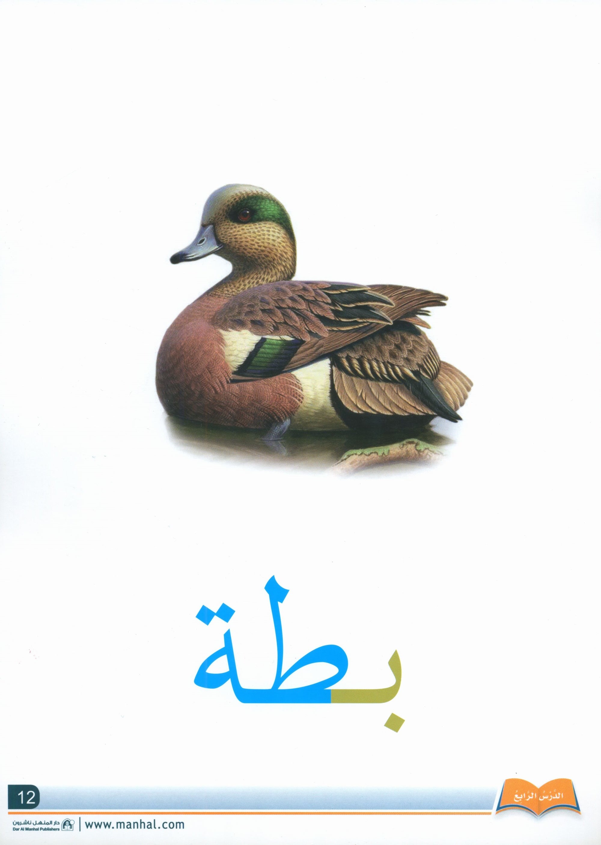 Arabic Friends Flash Cards Level KG أصدقاء العربية البطاقات التعليمية
