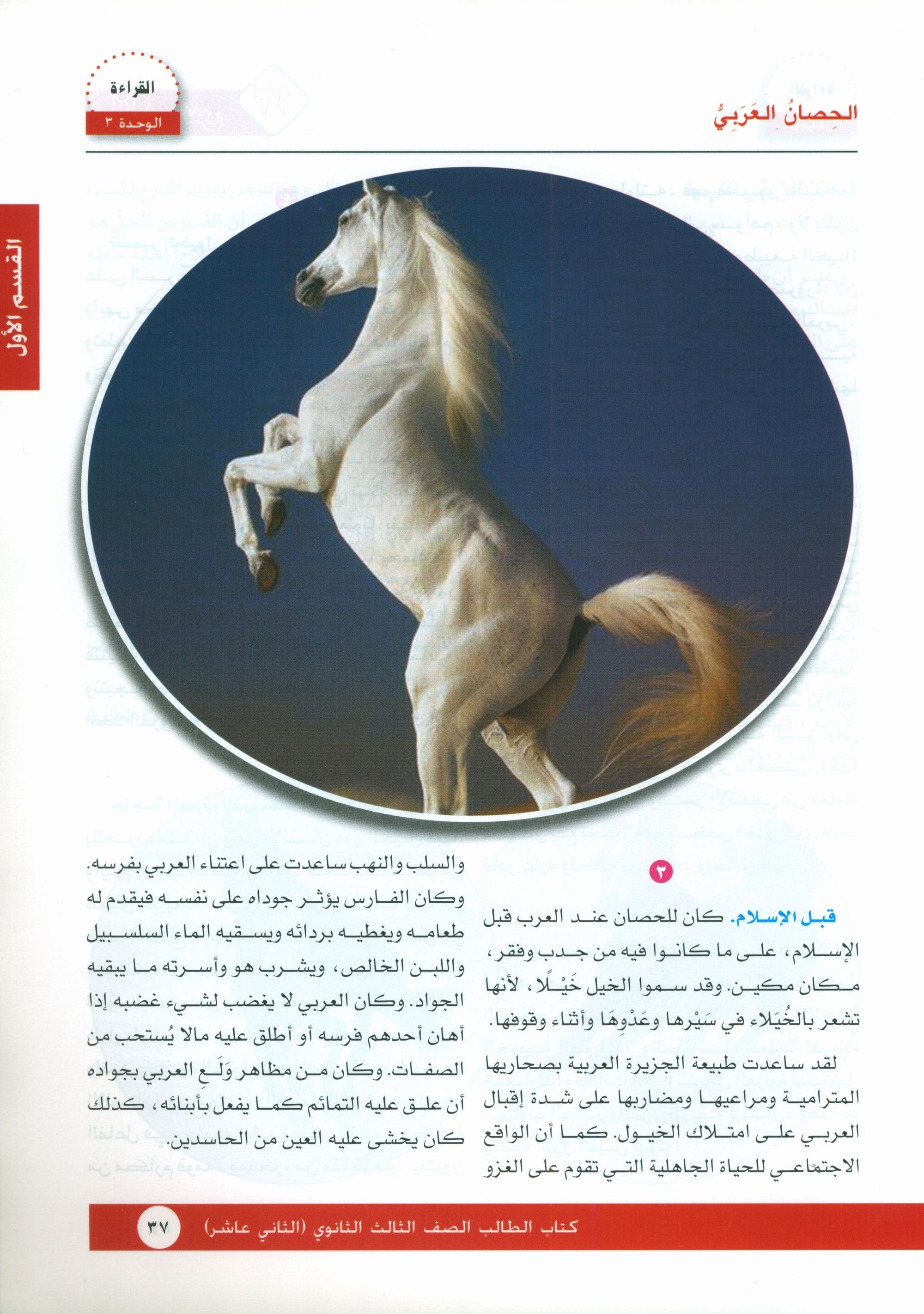 I Love Arabic Textbook Level 12 أحب العربية