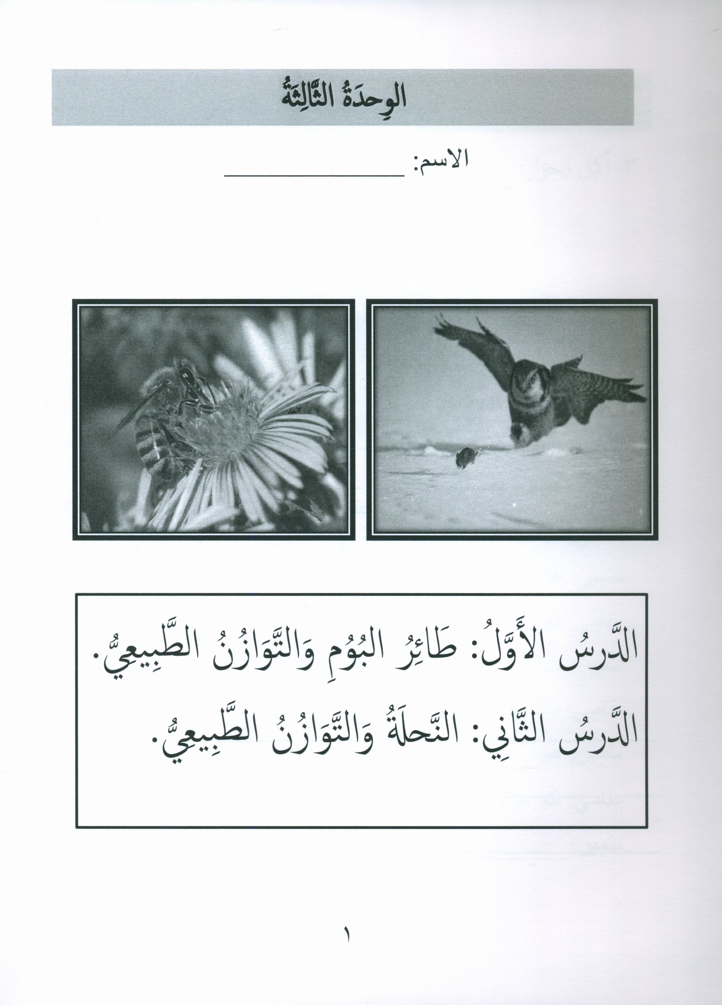 Gems of Arabic Assessment Level 3