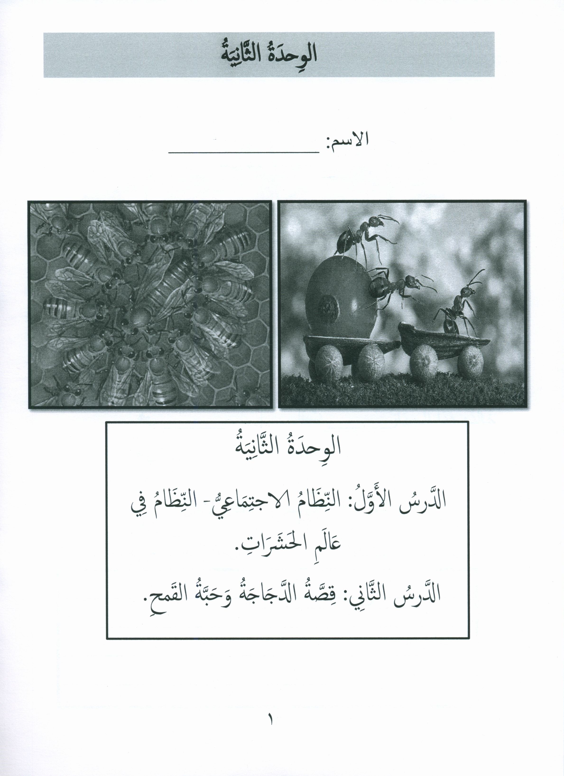Gems of Arabic Assessment Level 5