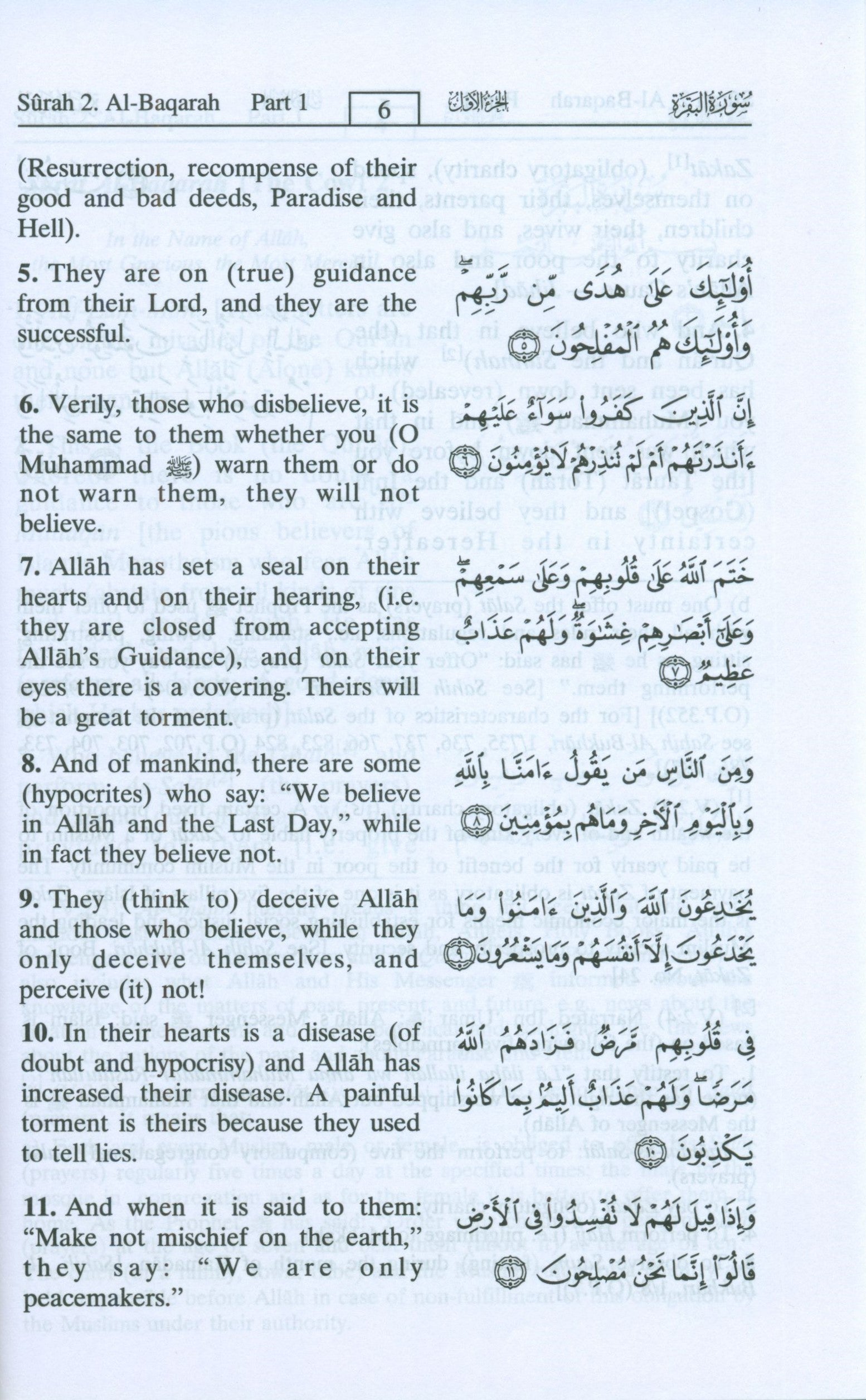 Interpretation of the Meanings of the Noble Qur'an in the English Language 6 X 8.5 Inches