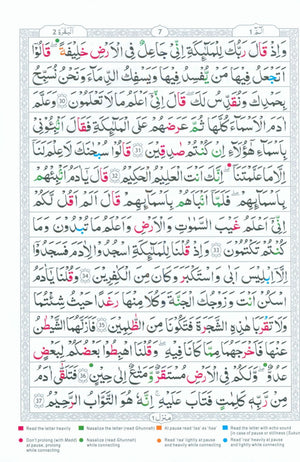 Tajweedi Qur'an 15-Line Indo-Pak (7x10)