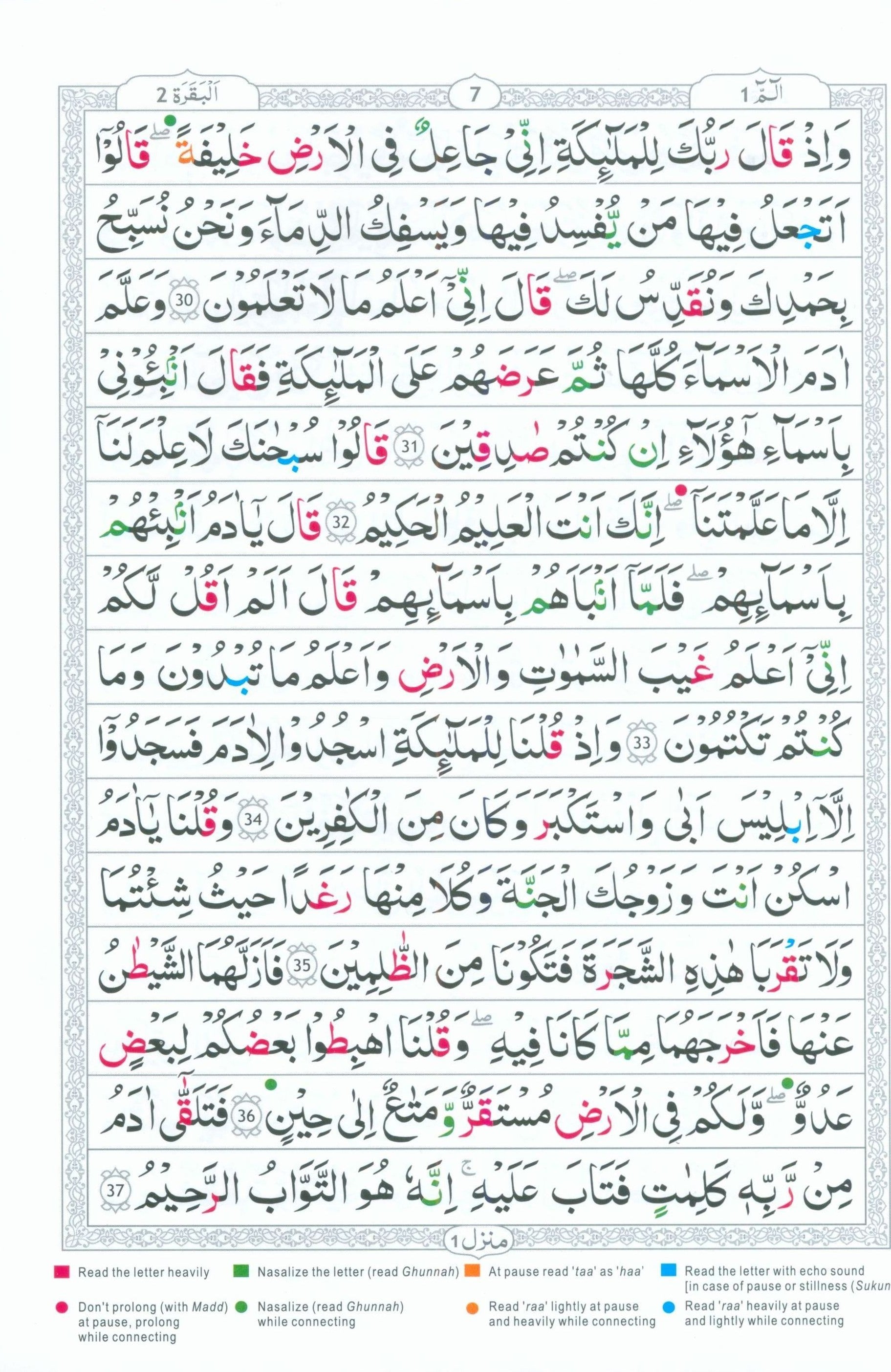 Tajweedi Qur'an 15-Line Indo-Pak (7x10)