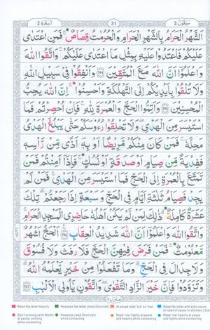 Tajweedi Qur'an 15-Line Indo-Pak (7x10)