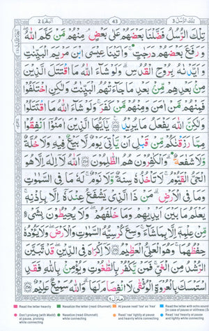 Tajweedi Qur'an 15-Line Indo-Pak (7x10)