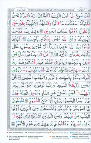 Tajweedi Qur'an 15-Line Indo-Pak (7x10)
