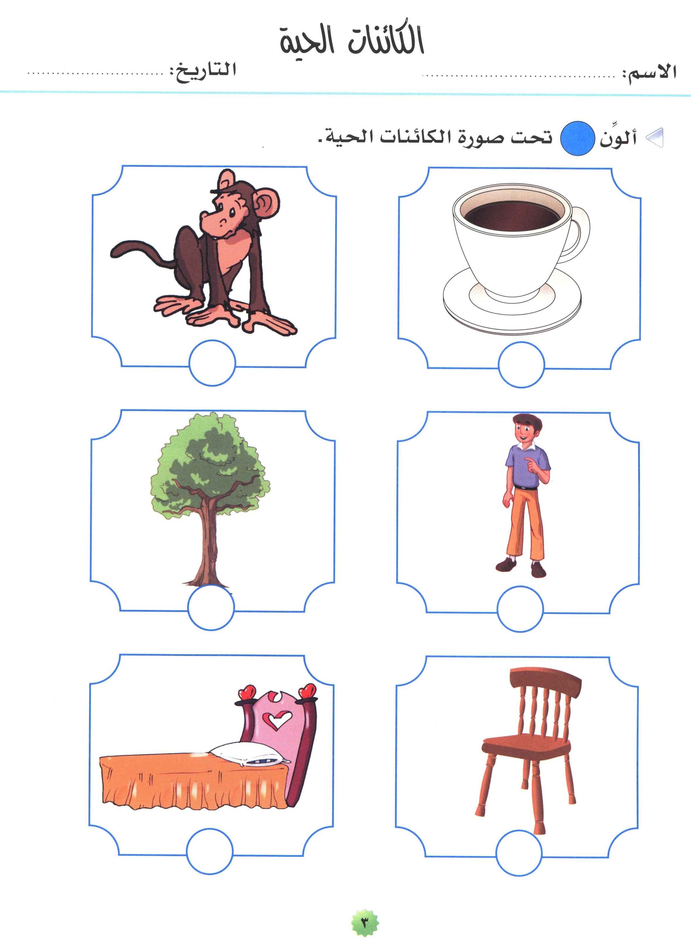 My Skills and Knowledge Worksheets Volume 2 مجموعة أوراق عمل مهاراتي ومعلوماتي