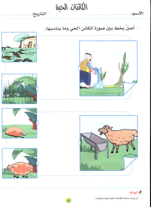 My Skills and Knowledge Worksheets Volume 2 مجموعة أوراق عمل مهاراتي ومعلوماتي