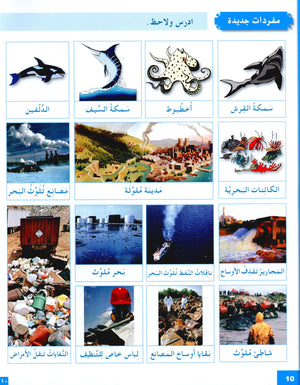 I Love The Arabic Language Textbook Level 6 أحب اللغة العربية وأتعلمها