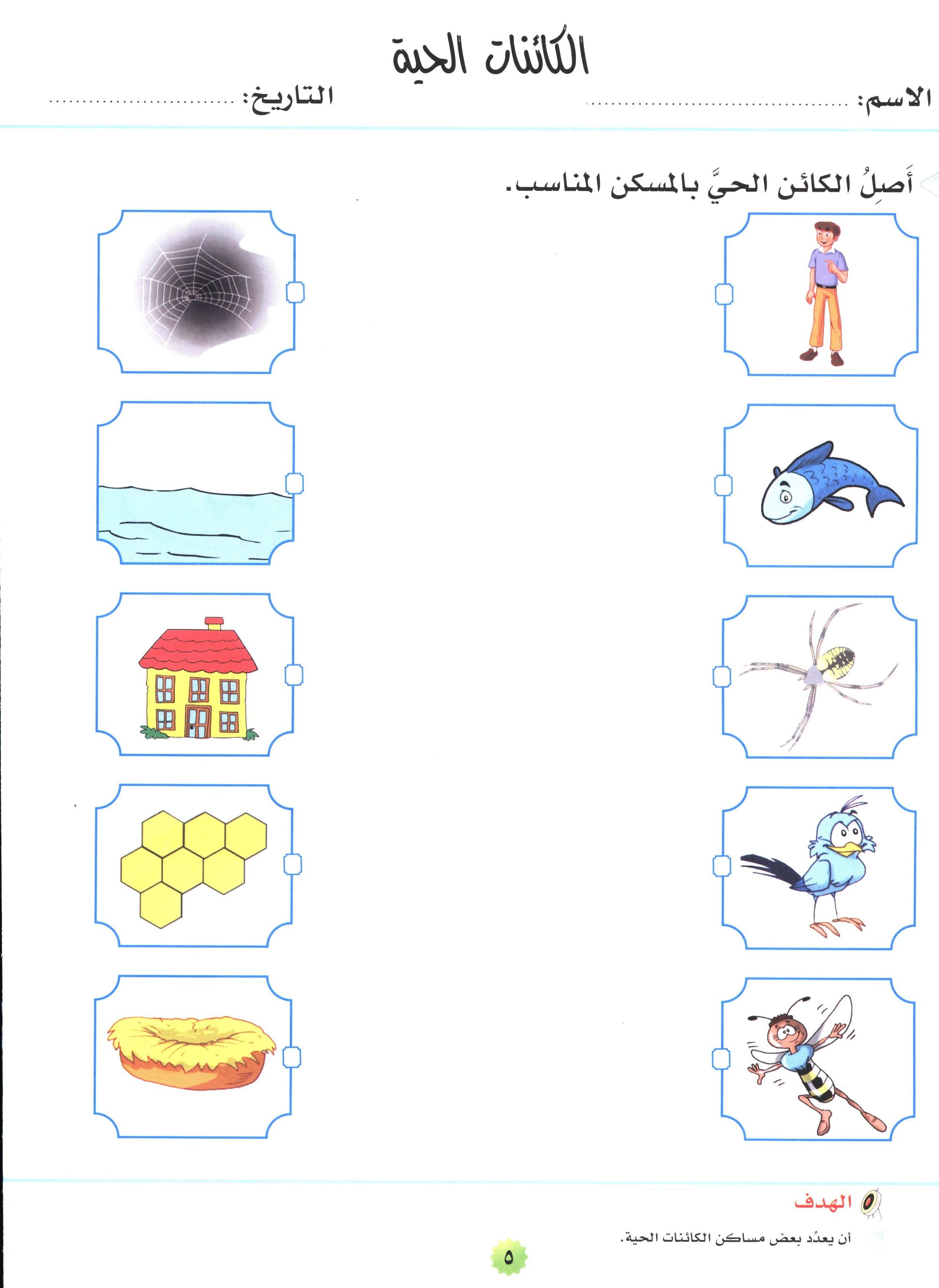 My Skills and Knowledge Worksheets Volume 2 مجموعة أوراق عمل مهاراتي ومعلوماتي