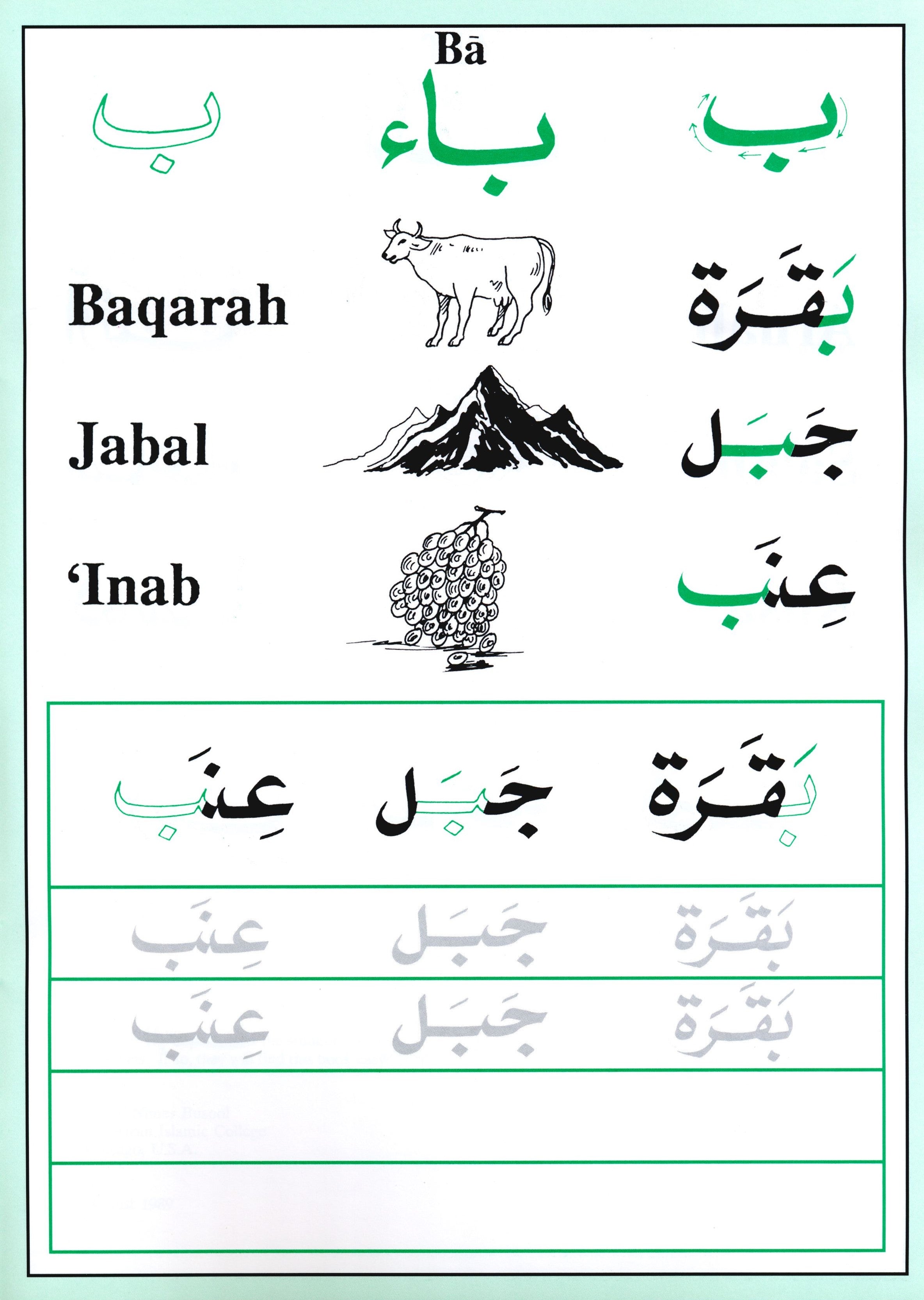 أشكال الحروف العربية