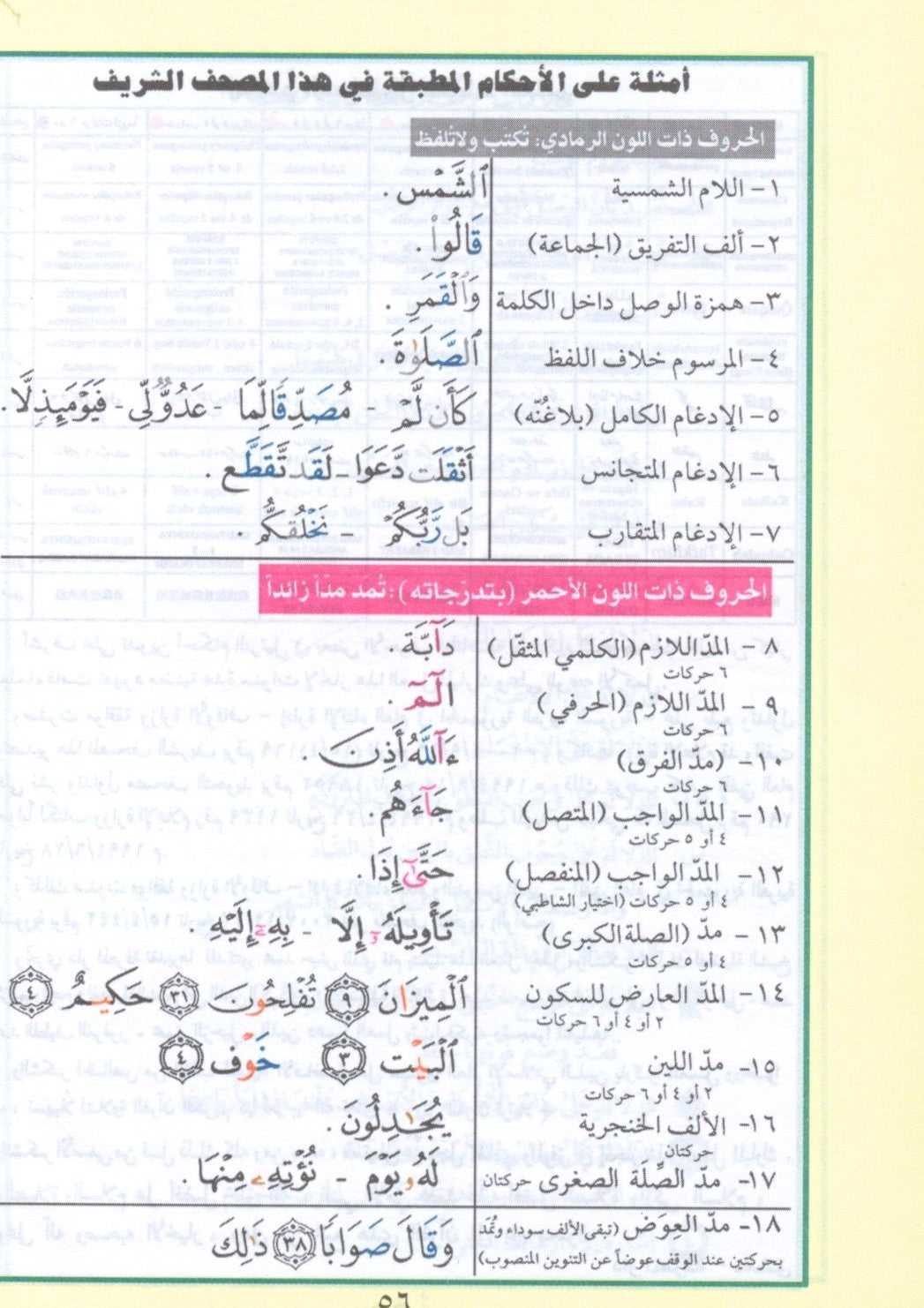 Color Coded Tajweed Qur'an With Zipper 3.5x5" Medium Size (Arabic Edition)