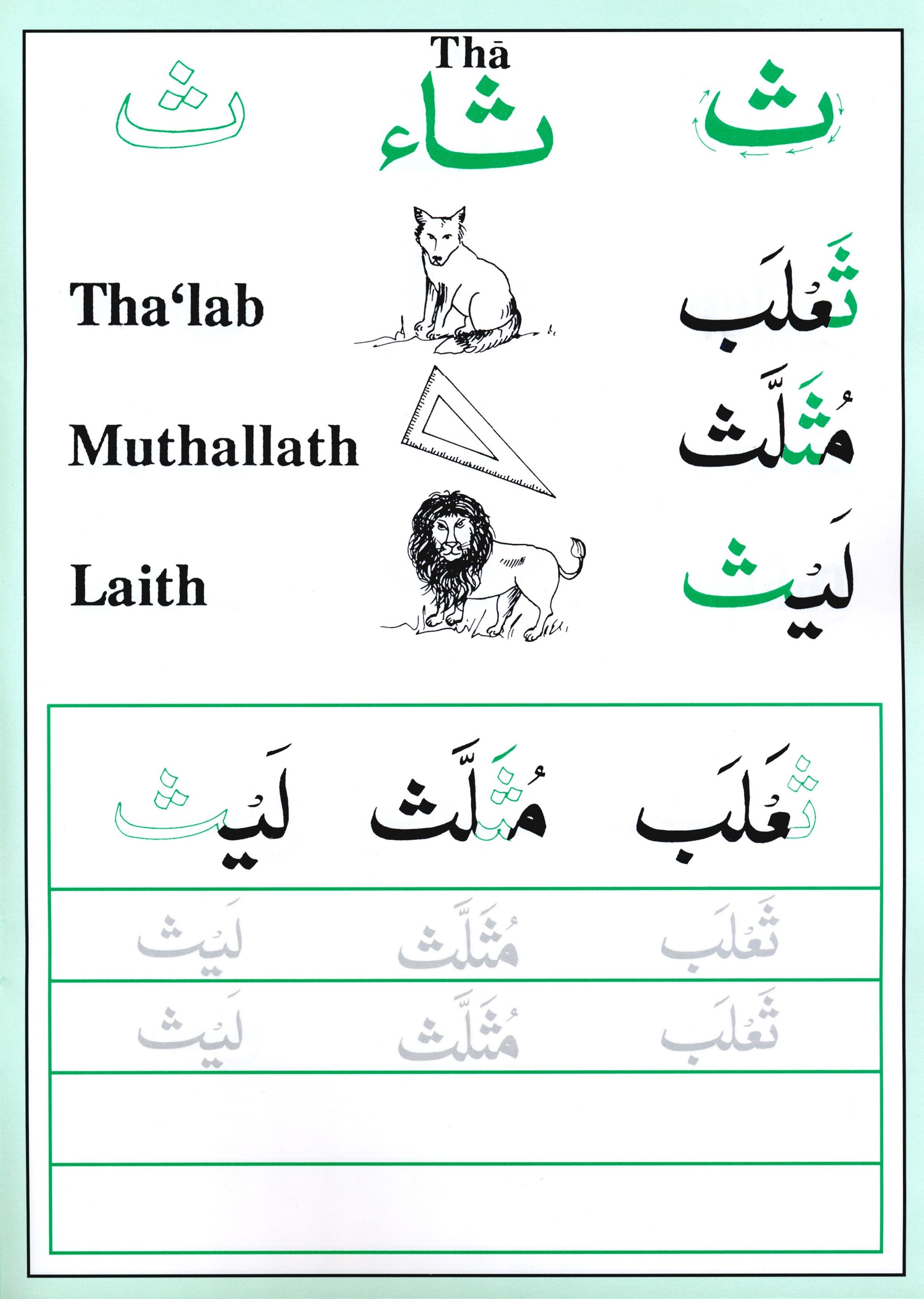 أشكال الحروف العربية