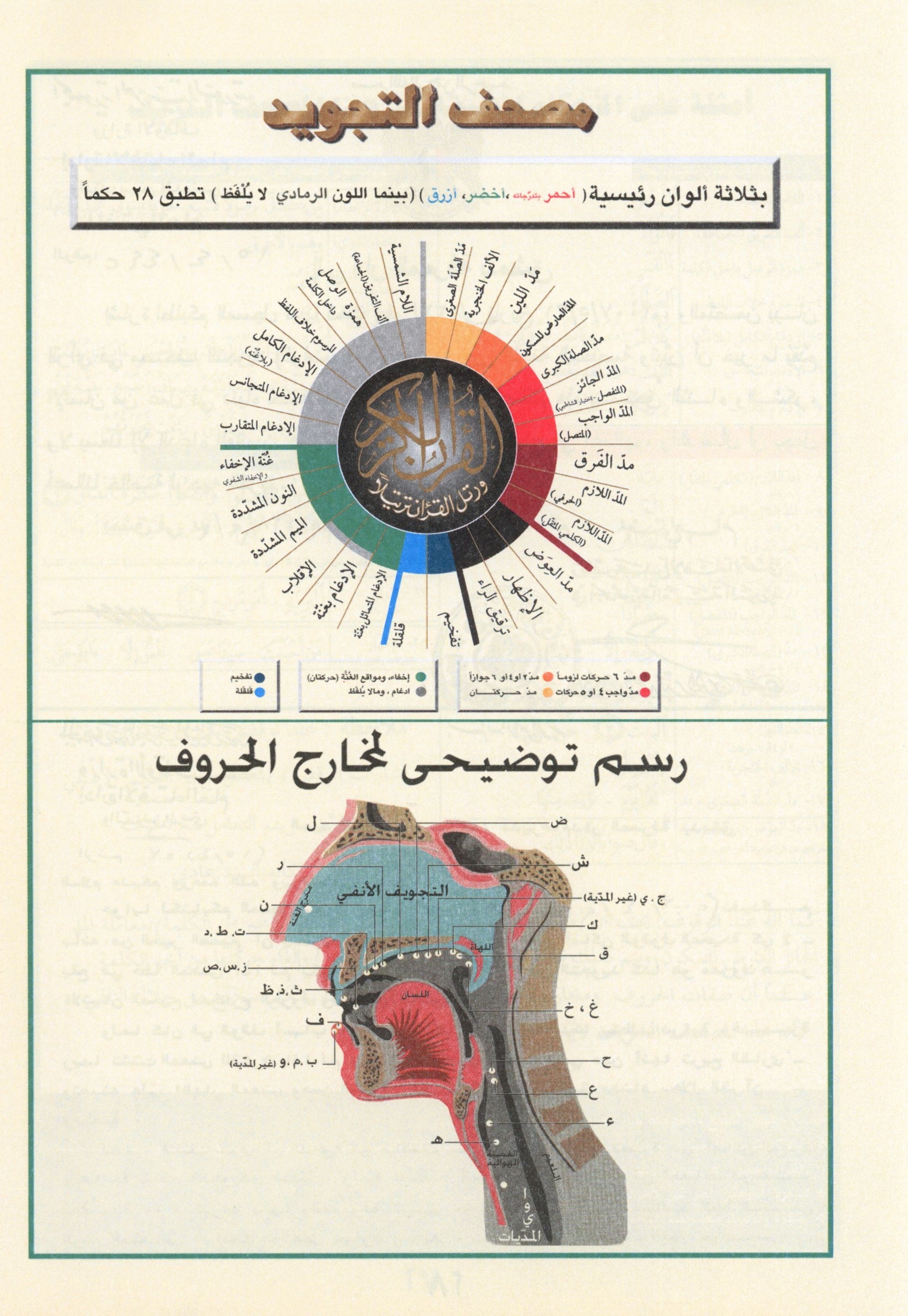 Color Coded Tajweed Quran From Surah Al-Ahqaf to Surah Al-Nas Parts 26 to 30 Size 7