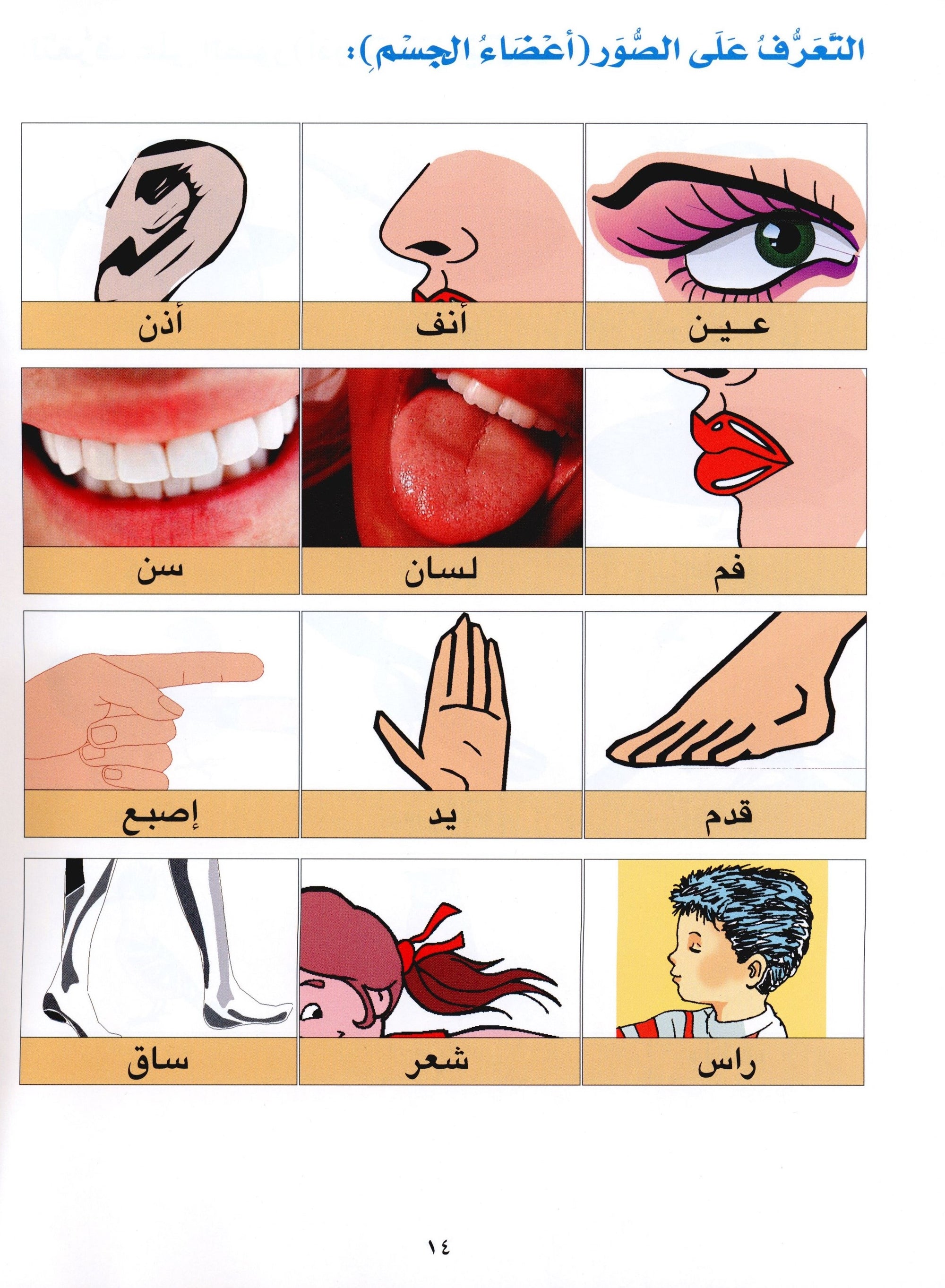Horizons in the Arabic Language Textbook Level 1 الآفاق في اللغة العربية كتاب الطالب