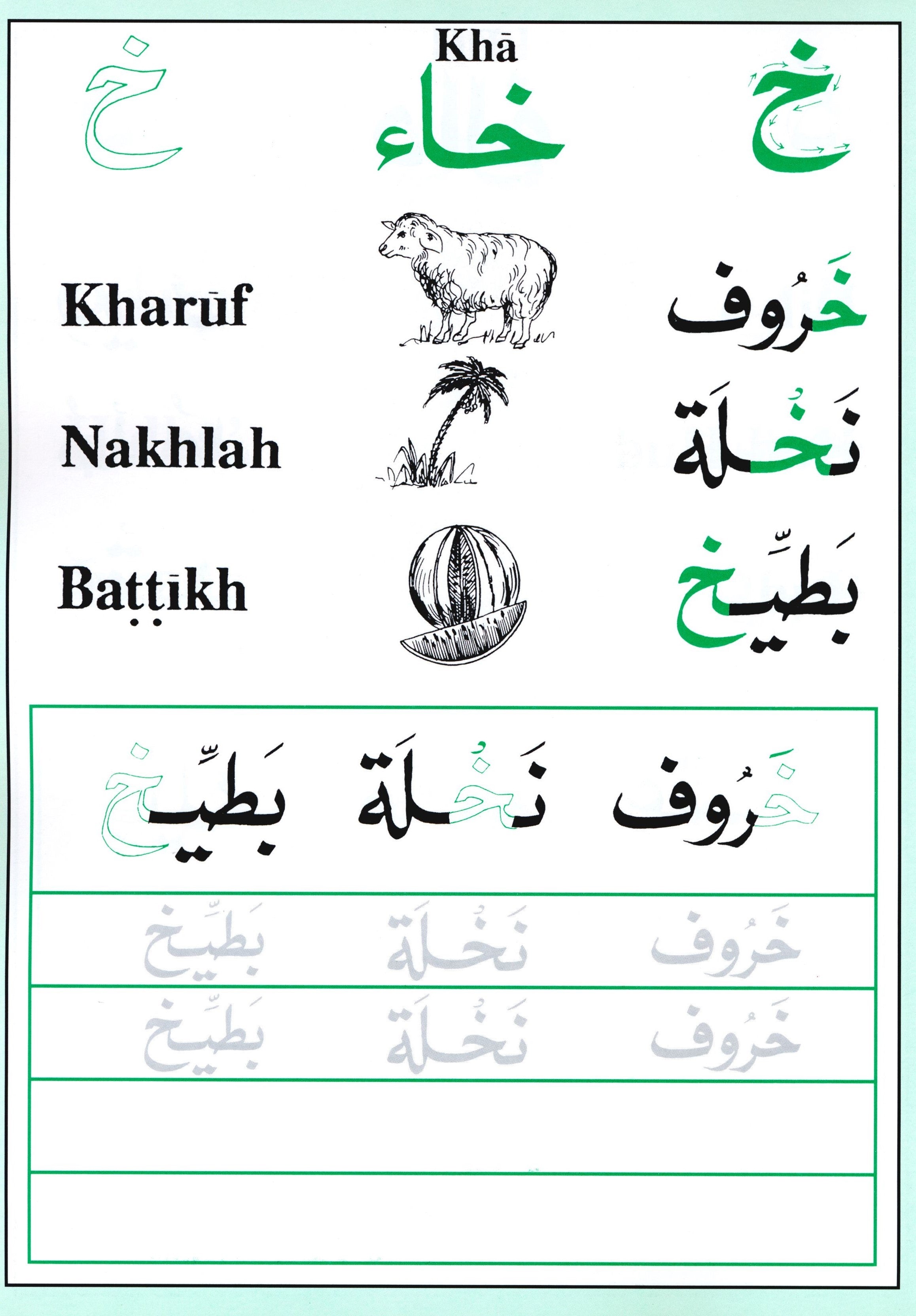 أشكال الحروف العربية