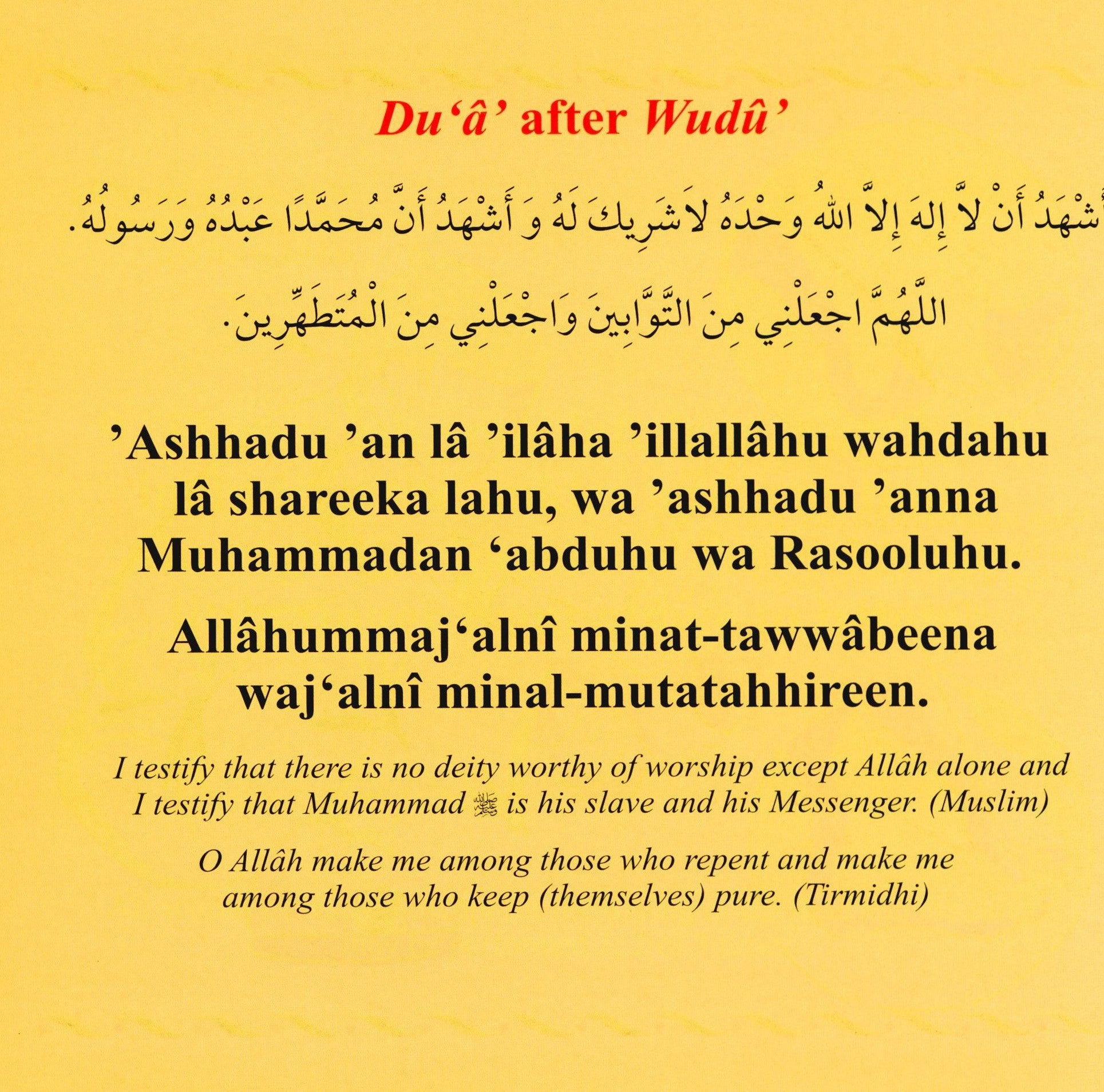 My Wudu Book