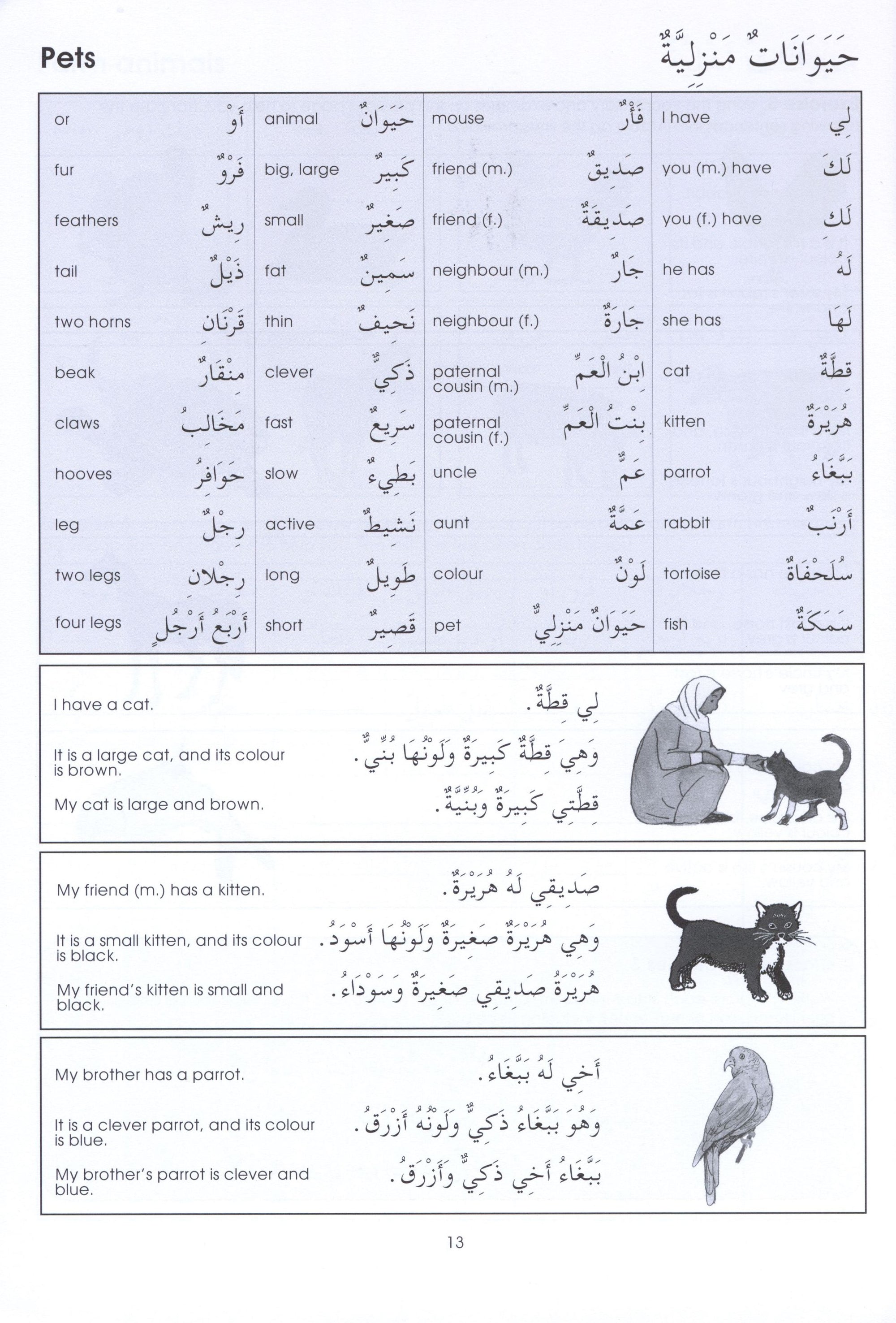 Gateway to Arabic Extension Book 1 مفتاح العربية