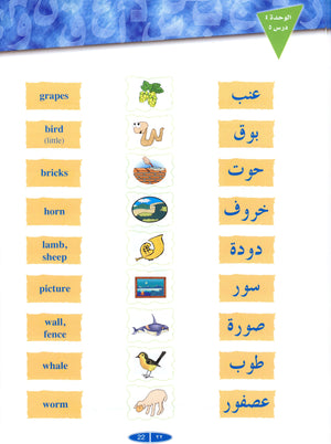 كتاب القارئ العربي 