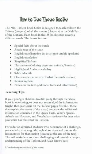 Surah 91 - Suratush Shams Mini Tafseer Book