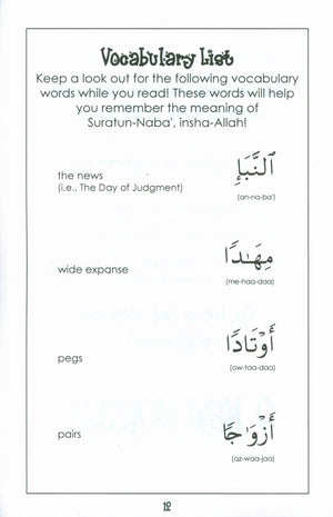Surah 78 - Suratun Naba' Mini Tafseer Book